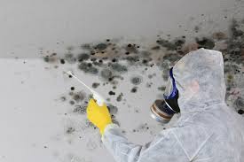 Best Mold Remediation for Healthcare Facilities  in Newberry, SC